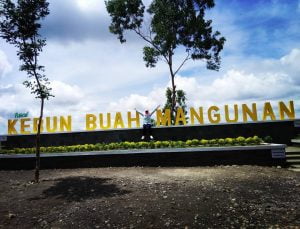 Kebun-buah-mangunan-(3)