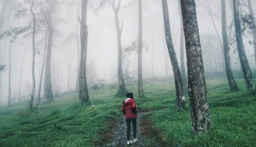 Wisata Taman Hutan Rakyat Ngargoyoso