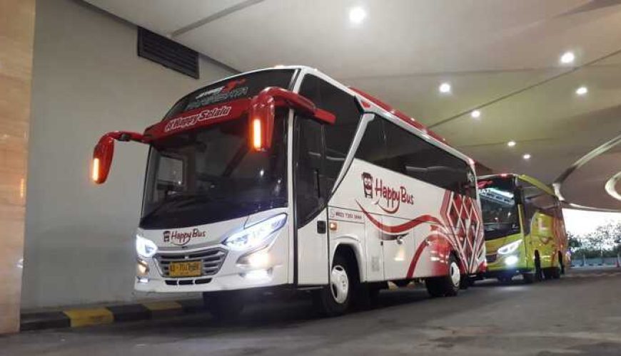 memilih bus pariwisata