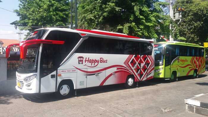 sewa bus pariwisata