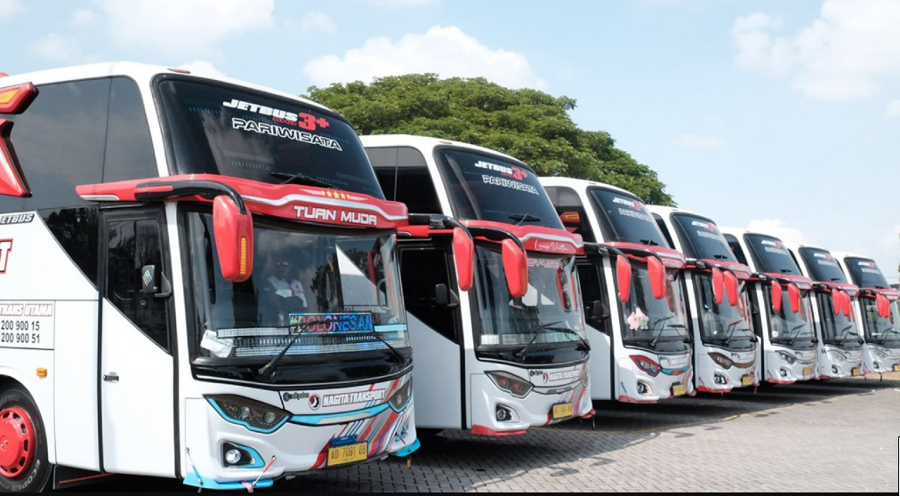 Bagi Anda yang menghendaki untuk mendirikan sebuah usaha PO bus Pariwisata dengan jumlah unit armada yang relatif tak banyak, sekitar 3 sampai 5 bus, terdapat bermacam-macam langkah yang perlu Anda lewati. Langkah pertama yakni menyiapkan modal yang sesuai dengan kebutuhan. Di samping itu, perlu juga menyiapkan garasi sebagai tempat parkir bus, melakukan perbaikan rutin setiap armada, memperoleh izin beroperasi, dan melakukan kegiatan marketing.