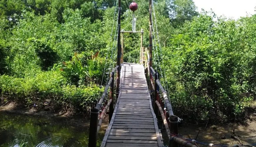 Wisata Hutan Mangrove Wana Tirta adalah destinasi ekowisata yang menawarkan pengalaman unik dan edukatif bagi pengunjung. Dengan keindahan alam