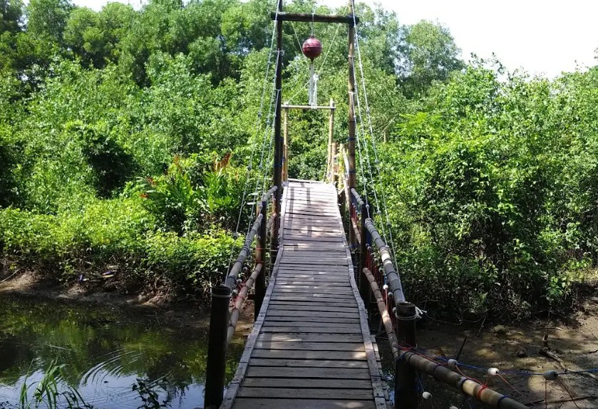 Wisata Hutan Mangrove Wana Tirta adalah destinasi ekowisata yang menawarkan pengalaman unik dan edukatif bagi pengunjung. Dengan keindahan alam