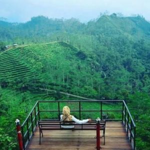 Kebun Teh Nglinggo adalah salah satu destinasi wisata alam yang terletak di dataran tinggi Kabupaten Kulon Progo, Yogyakarta.