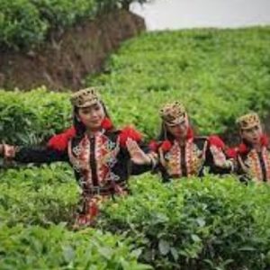 Kebun Teh Nglinggo adalah salah satu destinasi wisata alam yang terletak di dataran tinggi Kabupaten Kulon Progo, Yogyakarta.