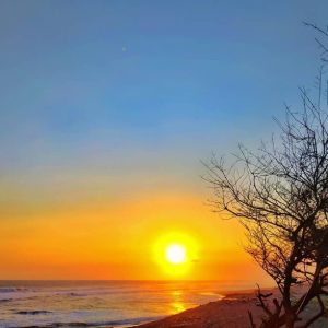 Pantai Trisik terletak di Desa Banaran, Kecamatan Galur, Kabupaten Kulon Progo, DIY. Dari pusat Kota Yogyakarta, jaraknya sekitar 37 km ke arah barat daya