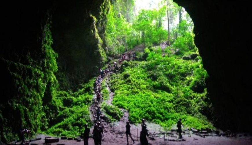 Gua Jomblang adalah salah satu destinasi wisata alam yang paling menakjubkan di Gunung Kidul, Yogyakarta. Wisata Kulon Progo yang lagi hits