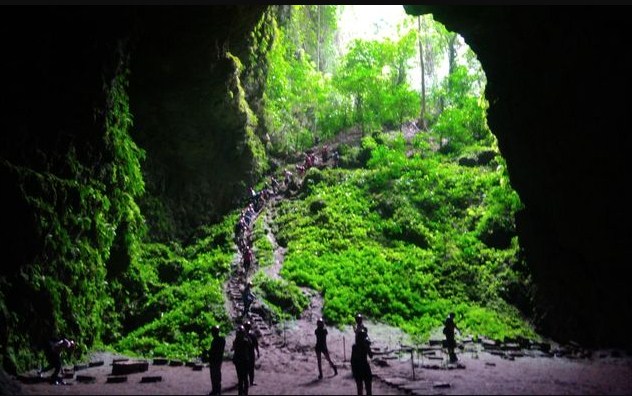 Gua Jomblang adalah salah satu destinasi wisata alam yang paling menakjubkan di Gunung Kidul, Yogyakarta. Wisata Kulon Progo yang lagi hits