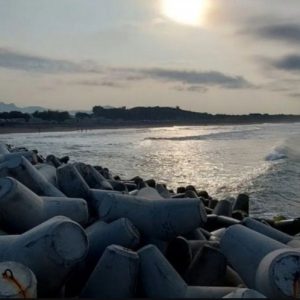 Pantai Congot Kulon Progo adalah surga tersembunyi yang menawarkan pesona alam yang belum terjamah oleh hiruk-pikuk wisatawan, memberikan ketenangan